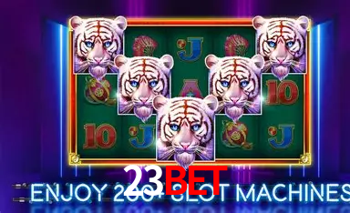 Platform Technology 23BET