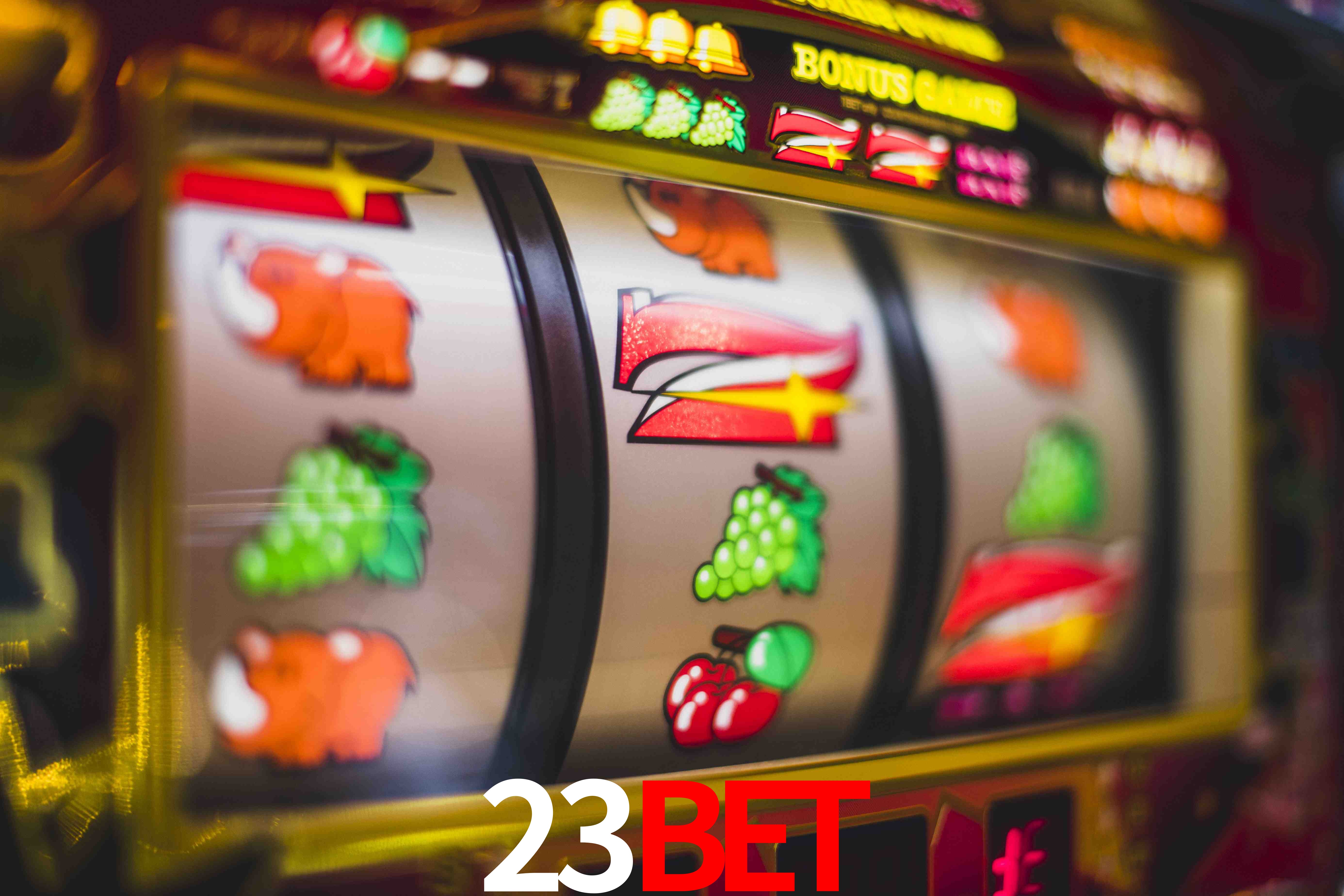 Live Casino 23BET